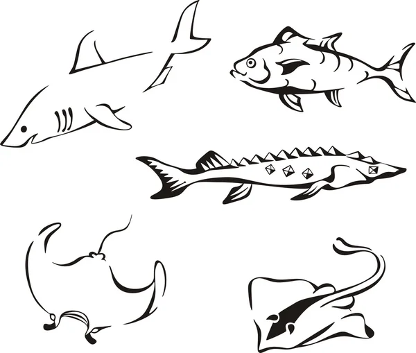 Set of black and white tropical fish — Stock Vector