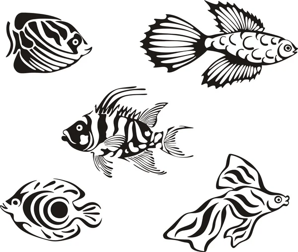 分離された熱帯魚ストックベクター ロイヤリティフリー分離された熱帯魚イラスト Depositphotos 分離された熱帯魚ストックベクター ロイヤリティフリー分離された熱帯魚イラスト Depositphotos