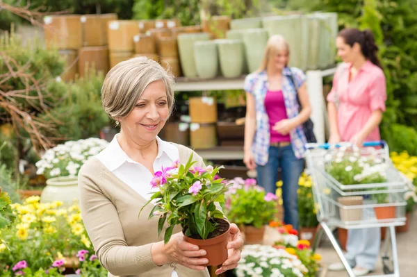 Garden centre senior lady hold potted flower — Stock Photo, Image