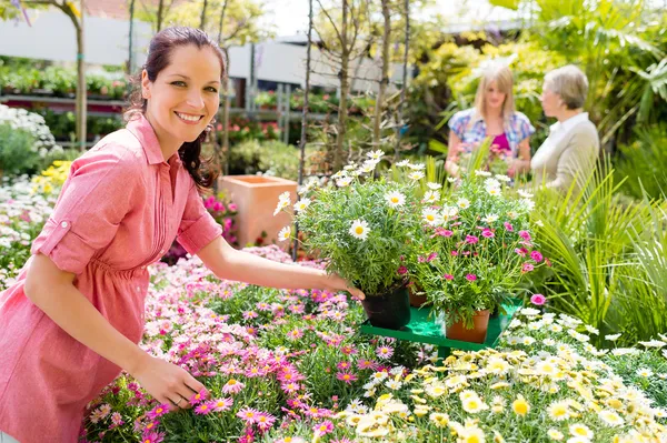 Florist arrangiert Blumentöpfe im Gartengeschäft — Stockfoto