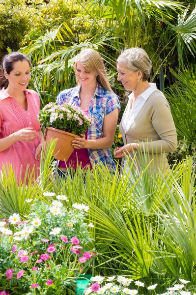 Tre kvinnor shopping blommor vid gröna huset — Stockfoto