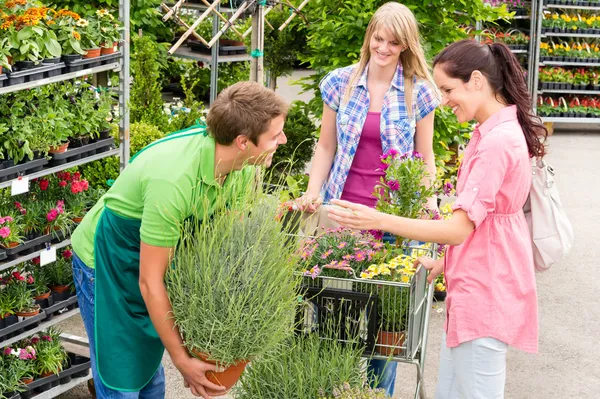 Gartencenter-Verkäufer bieten Topfpflanze an — Stockfoto