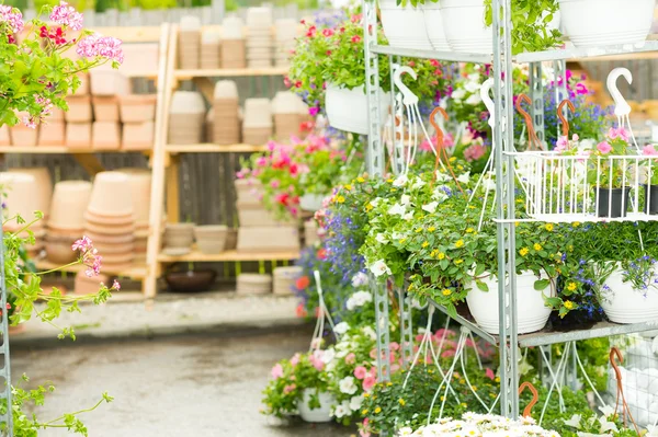 Hangup potten met bloemen in tuincentrum — Stockfoto