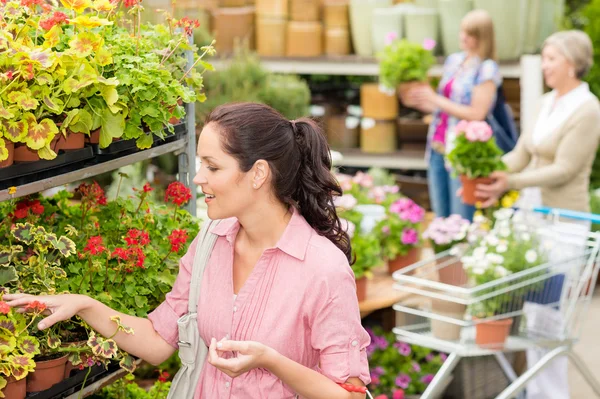 Woman choose potted flower in garden store Stock Picture