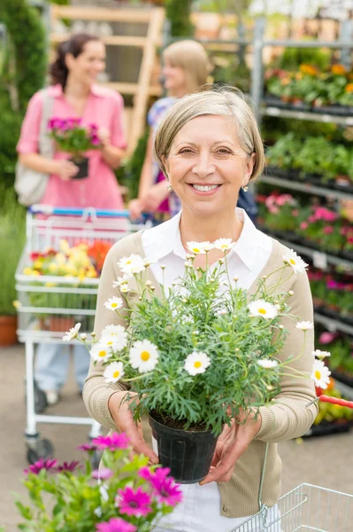 Garden centre senior lady hold potted flower Royalty Free Stock Photos