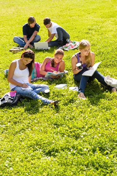 Studenten die studeren zitten in de tienerjaren park — Stockfoto