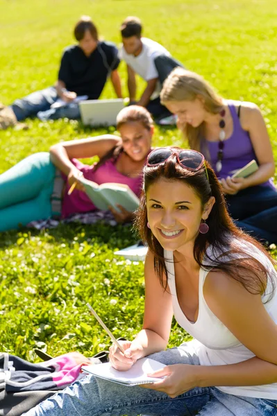 Estudantes que estudam sentado na grama no parque — Fotografia de Stock
