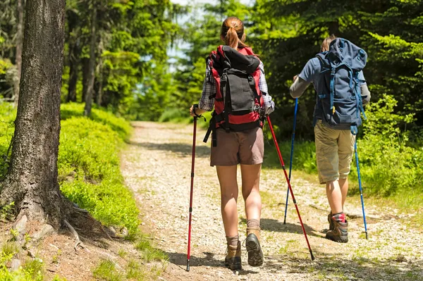 yürüyüşçüler trekking direkleri ile yolda