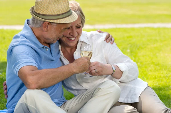 Senior couple clinking glasses on picnic — Stock Photo, Image