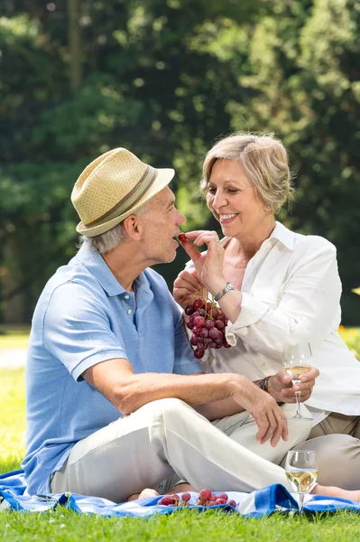 Speelse gepensioneerden hebben buitenshuis picknick — Stockfoto