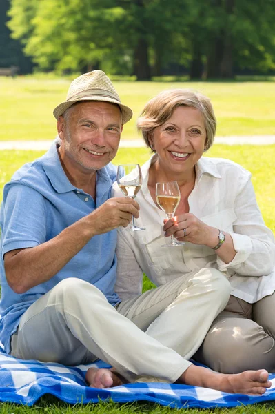 Feliz casal sênior beber vinho ao ar livre — Fotografia de Stock