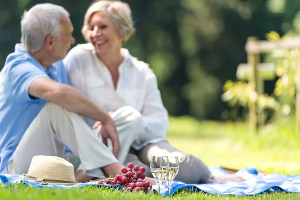 Senior couple picnicking outdoors smiling — Stock Photo, Image