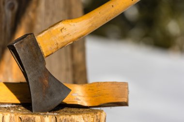 AX ahşap kış bloğunda şaşırıp kalmış.