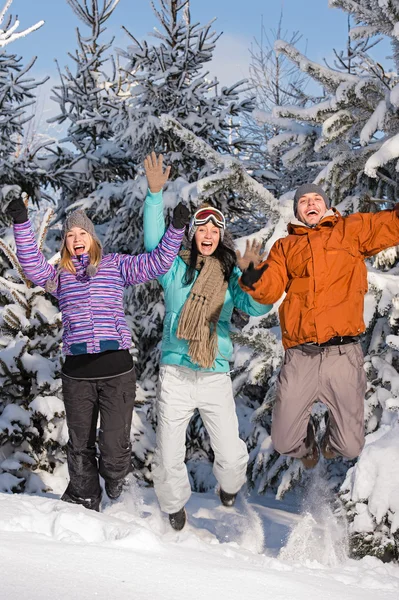 Group of teenagers jumping together in wintertime — Stock Photo, Image