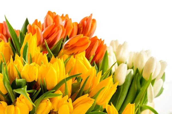 Bando colorido de flores de primavera de tulipas — Fotografia de Stock
