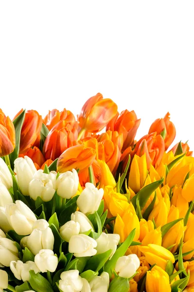 Spring flowers colorful bouquets of tulips — Stock Photo, Image