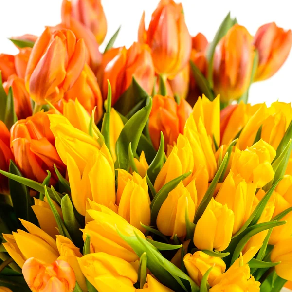 Colorful tulips bunch of spring flowers — Stock Photo, Image