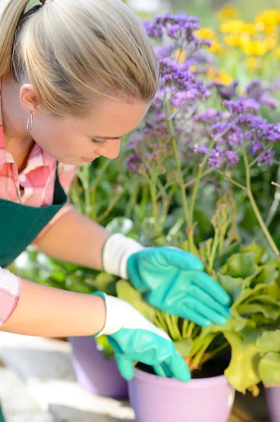 Frau pflanzt Blumen — Stockfoto