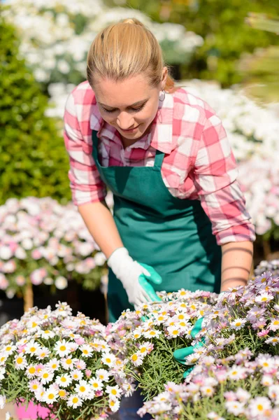 Kvinna kontrollera daisy blomsterrabatt — Stockfoto