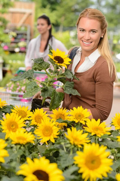 Vrouw winkelen voor ingegoten zonnebloem — Stockfoto