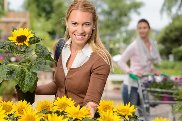 Woman hold potted sunflower — Stock Photo, Image