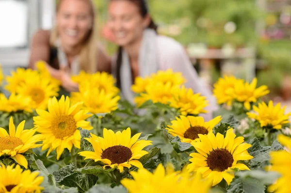 Two woman smiling — Stock Image Two woman smiling Royalty Free Stock Photos