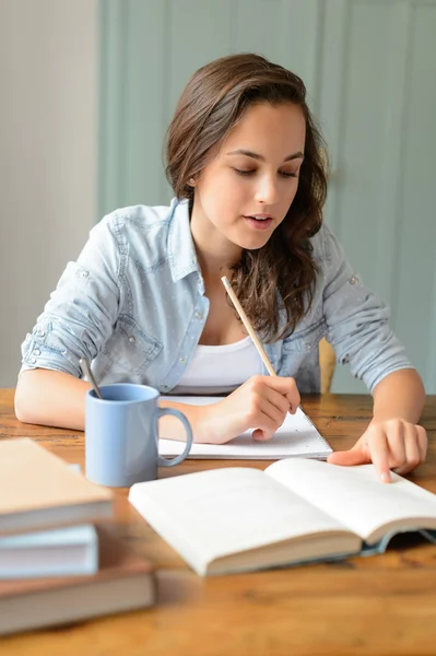 Dziewczyna student studiuje w domu — Zdjęcie stockowe