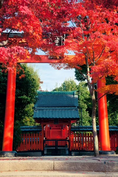 京都神社 — 图库照片