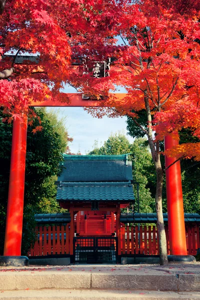 Santuário de Kyoto — Fotografia de Stock