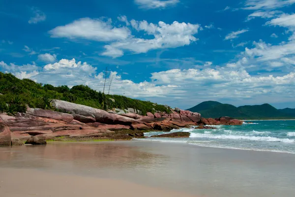 Παραλίες στο florianopolis, Βραζιλία — Φωτογραφία Αρχείου