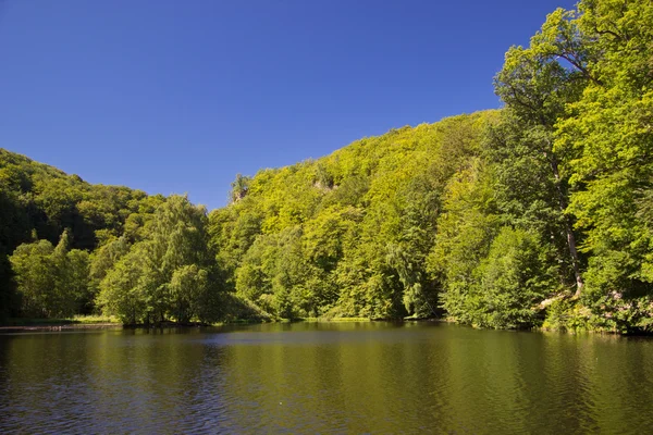 Beautiful nature of Söderåsen National Park — Stok fotoğraf