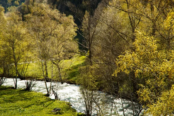 Fiume in Andorra — Foto Stock