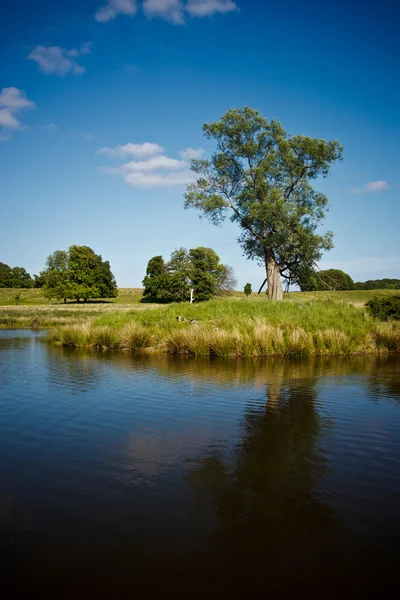 Bellissimo lago nel parco Dyrehave, Danimarca — Foto Stock