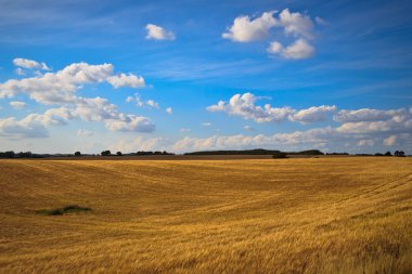 alanlar ve çayırlar, scania, İsveç