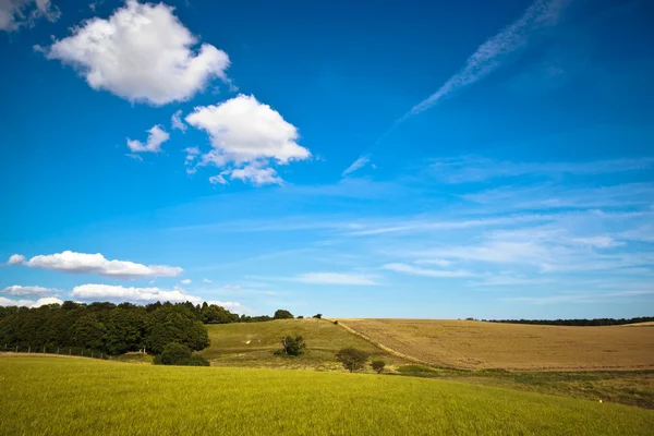 Campos e prados de Scania, Suécia — Fotografia de Stock