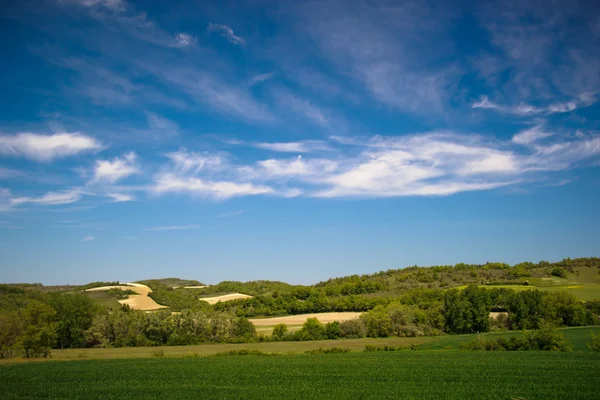 Campos e prados do sul da França — Fotografia de Stock