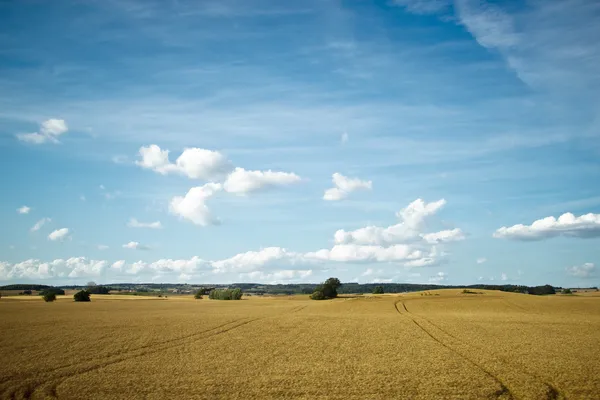 Campos e prados de Scania, Suécia — Fotografia de Stock