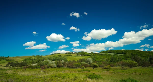 Campos e prados da Dinamarca — Fotografia de Stock