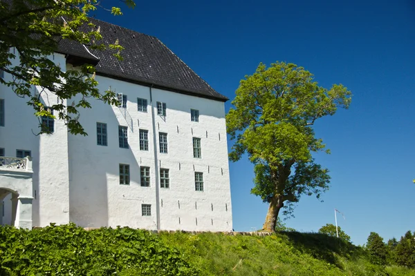 Prachtige kasteel van dragsholm, Zeeland, Denemarken. — Stockfoto