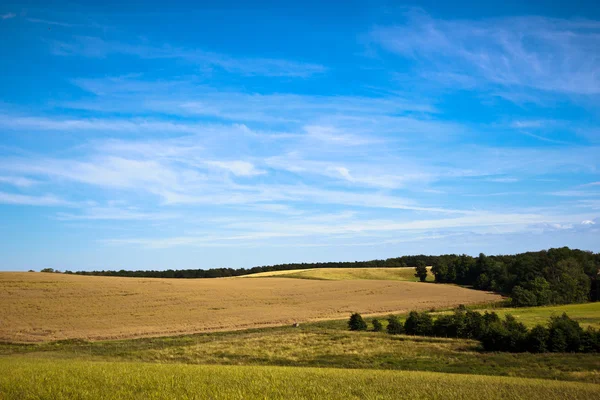 Krásná obloha nad louka — Stock fotografie