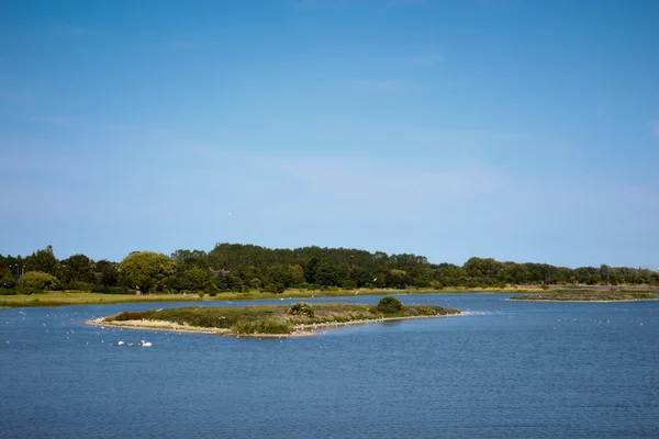 Kleine Insel inmitten des Sees — Stockfoto