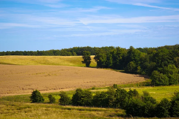 Fields and meadows of Scania, Sweden — Stock Photo, Image