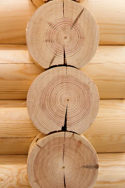 Mauer aus Holzstämmen — Stockfoto