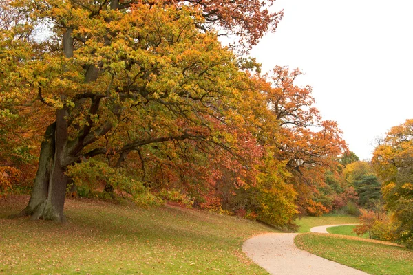 Fall i en park — Stockfoto