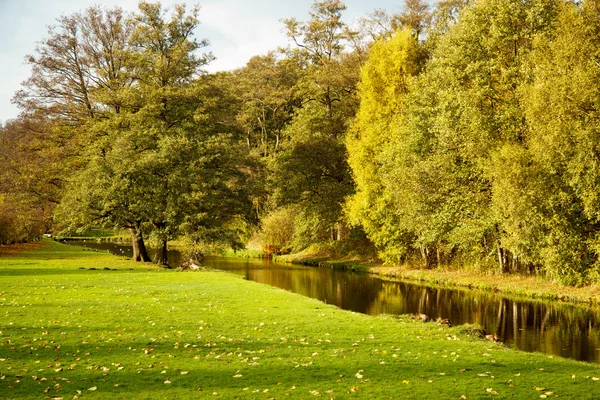 Caer en un parque — Foto de Stock