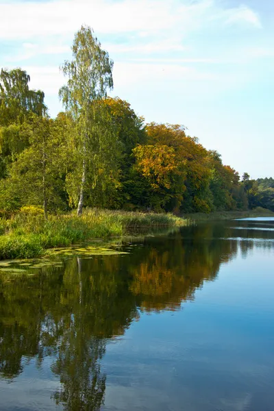 Höstens colloers — Stockfoto