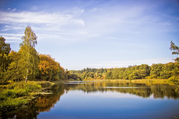 Höstens colloers — Stockfoto