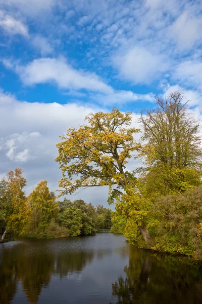 Höstens colloers — Stockfoto