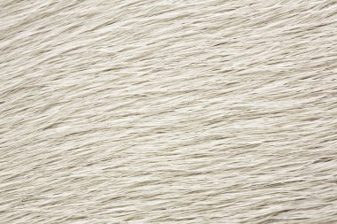White dog fur is clean and brushed clipart