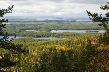 Orman ve göl üzerinden dağ üzerinde göster